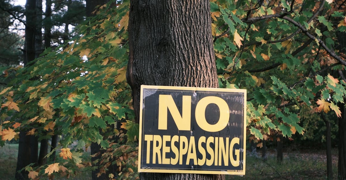 Безопасность игр в RamenBet Casino и защита от мошенничества